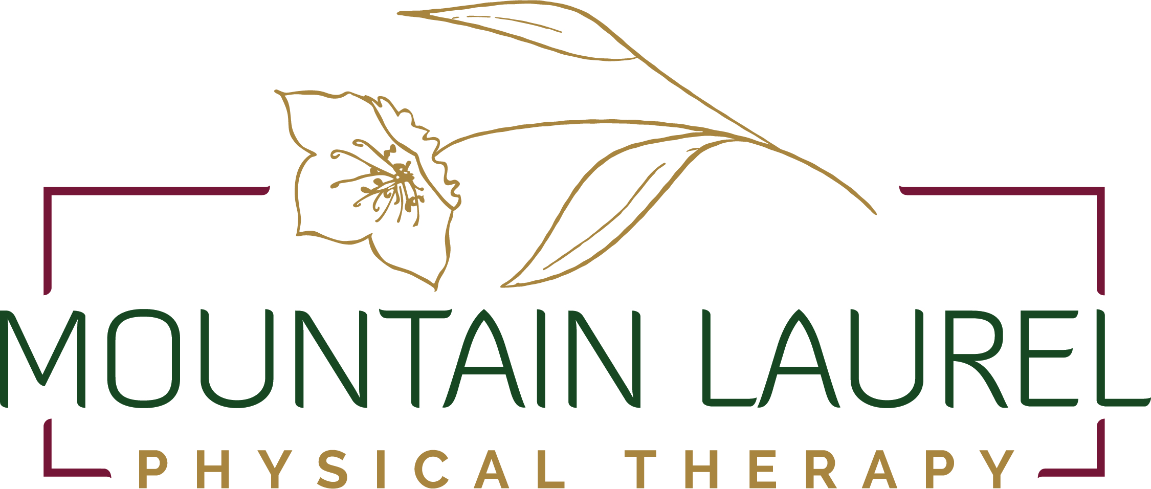 Mountain Laurel Physical Therapy